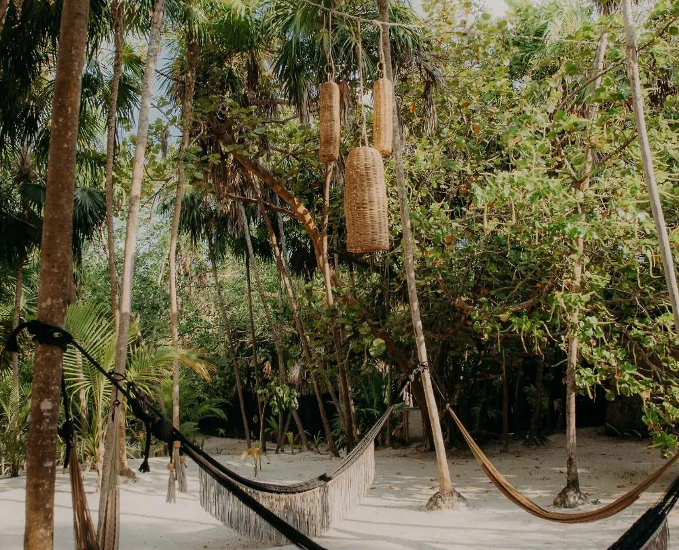 Lägenhet Penthouse With Private Rooftop Terrace, Hot Tub, And Community Pool Tulum Mexiko