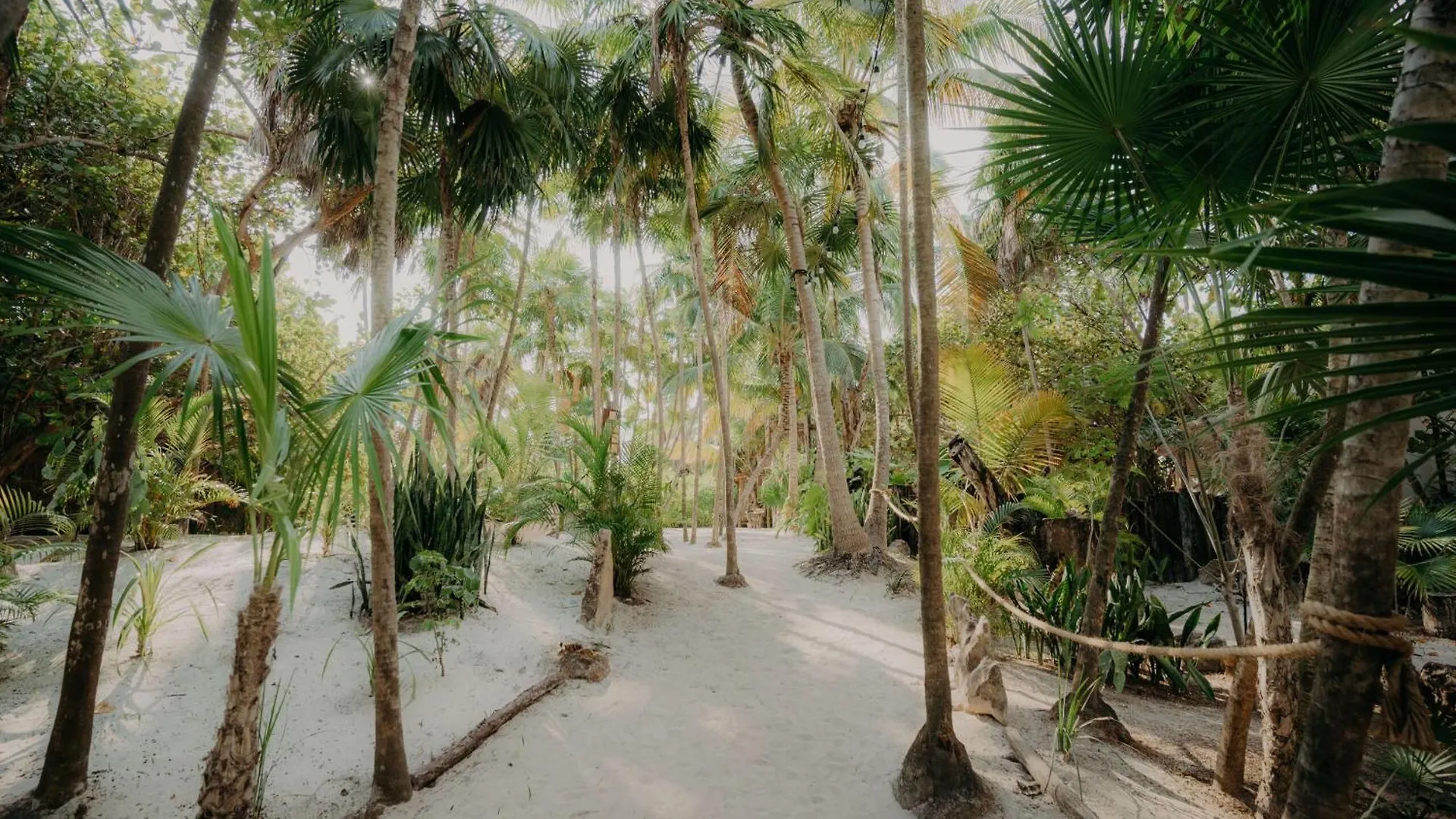 Penthouse With Private Rooftop Terrace, Hot Tub, And Community Pool Tulum Lägenhet