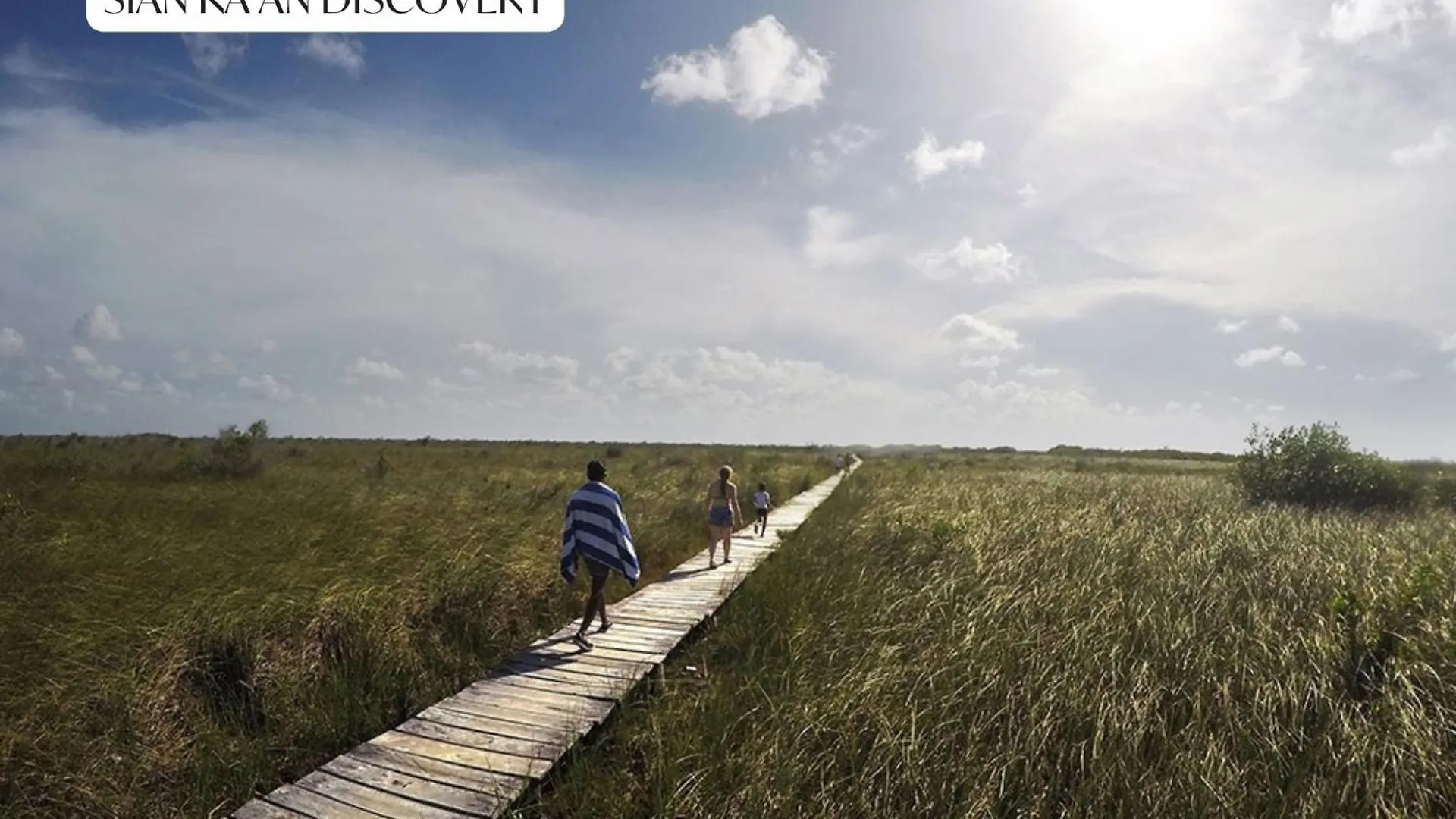 Penthouse With Private Rooftop Terrace, Hot Tub, And Community Pool Tulum